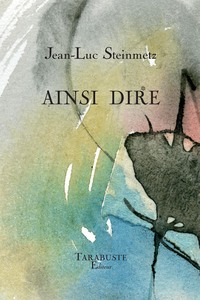 Picture of AINSI DIRE - Jean-Luc Steinmetz