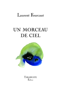 Picture of UN MORCEAU DE CIEL - Laurent Fourcaut