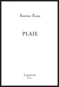 Picture of PLAIE - Antoine Emaz