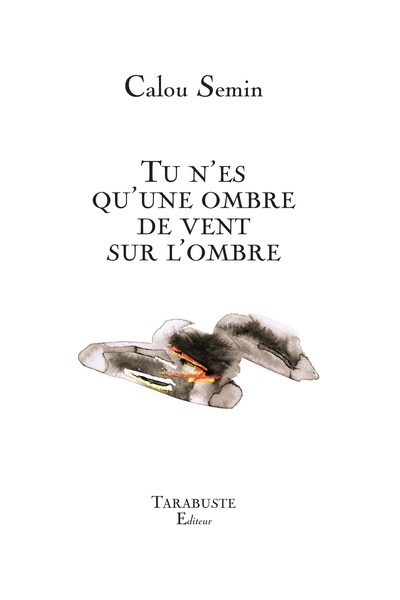 Picture of TU N'ES QU'UNE OMBRE DE VENT SUR L'OMBRE - Calou Semin