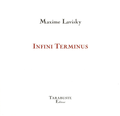 Picture of INFINI TERMINUS - Maxime Lavisky