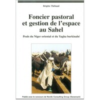 Image de Foncier pastoral et gestion de l'espace au Sahel