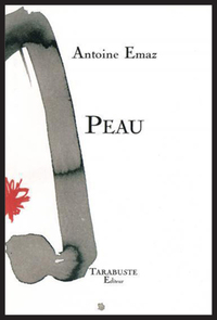Picture of PEAU - Antoine Emaz