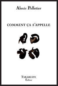 Picture of COMMENT CA S'APPELLE - Alexis Pelletier