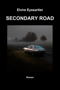 Picture of SECONDARY ROAD