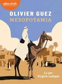 Picture of Mesopotamia