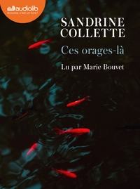 Image de Ces orages-là
