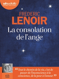 Image de La Consolation de l'ange