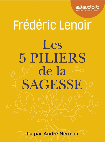 Image de Les 5 Piliers de la sagesse : petit manuel de résistance intérieure