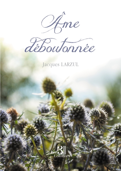 Picture of Âme déboutonnée