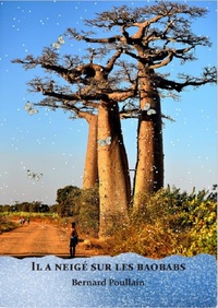 Image de Il a neigé sur les baobabs