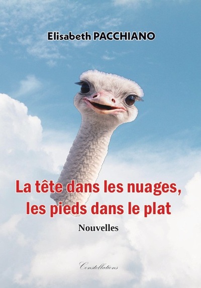 Picture of La tête dans les nuages, les pieds dans le plat