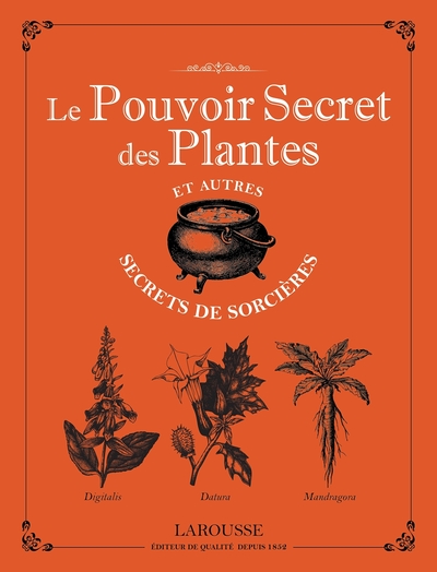 Image de Le pouvoir secret des plantes et autres secrets de sorcières-NP