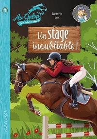 Picture of Roman AU GALOP, une année à cheval - Un stage inoubliable