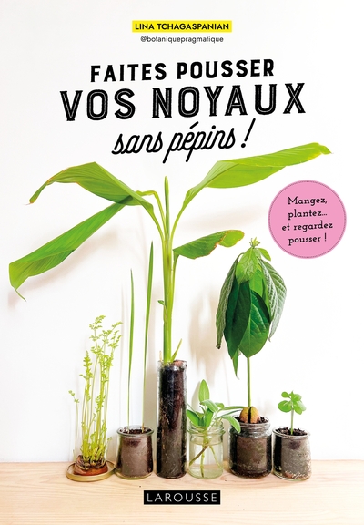Picture of Faites pousser vos noyaux sans pépins !
