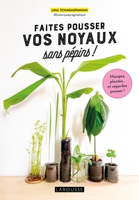 Picture of Faites pousser vos noyaux sans pépins !
