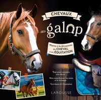 Image de Chevaux au galop