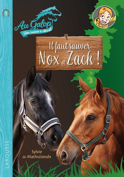 Picture of Roman AU GALOP, une année à cheval - Il faut sauver Nox et Zach
