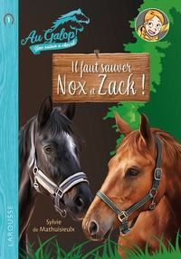 Picture of Roman AU GALOP, une année à cheval - Il faut sauver Nox et Zach
