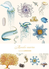 Picture of Carnet Larousse - Mondes sous-marins
