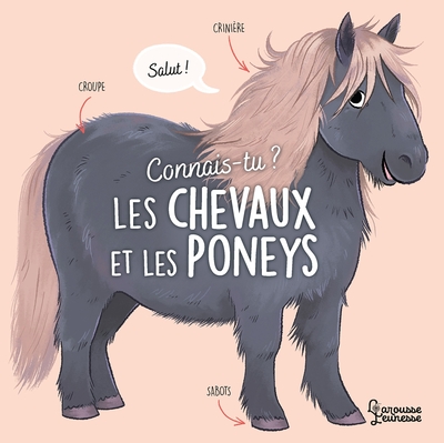 Image de Connais-tu ? Les chevaux et les poneys