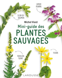 Image de Mini-guide des plantes sauvages