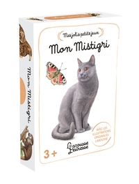 Image de Boîte jeu mistigri