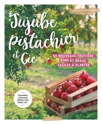 Image de Jujube pistachier et Cie