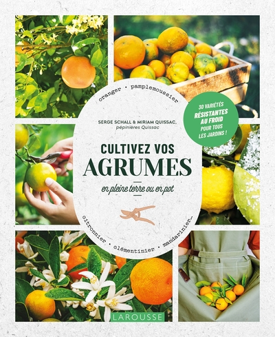 Image de Cultivez vos agrumes