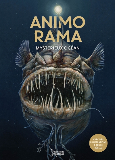 Image de ANIMO RAMA Mystérieux Océan