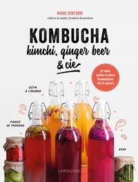 Image de Kombucha, kimchi, ginger beer & Cie