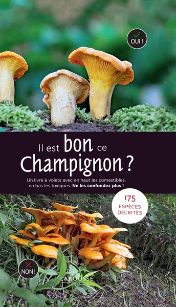 Image de Il est bon ce champignon ?