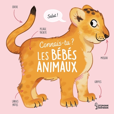 Image de Connais-tu les bébés animaux ?