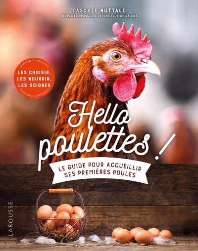 Picture of Hello poulettes ! Le guide pour accueillir ses premières poules