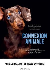 Picture of Connexion animale
