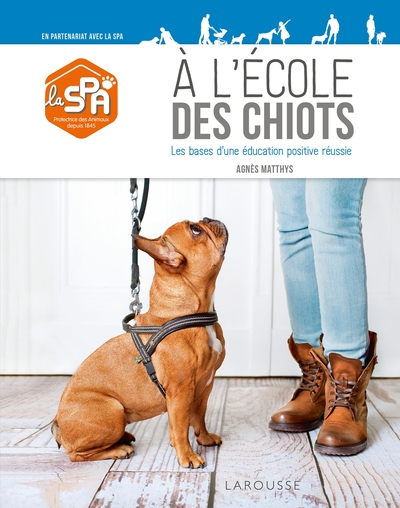 Image de À l'école des chiots