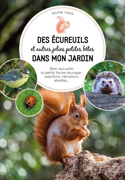 Image de Des écureuils dans mon jardin