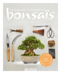 Image de Comment créer et entretenir vos bonsaïs