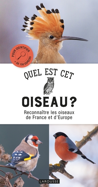 Picture of Quel est cet oiseau ?
