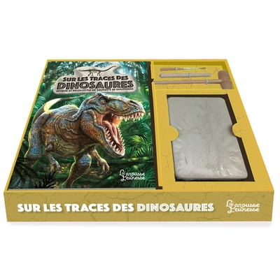Image de Sur les traces des dinosaures