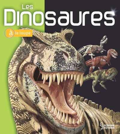 Picture of Les Dinosaures