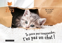 Image de Calendrier Tu peux pas comprendre t'es pas un chat