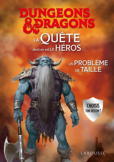 Picture of DUNGEONS & DRAGONS La Quête dont on est le héros - Un problème de taille
