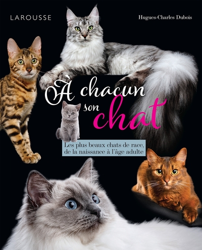 Picture of A chacun son chat
