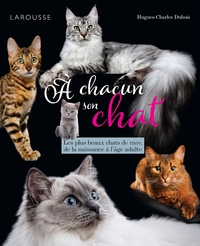 Picture of A chacun son chat