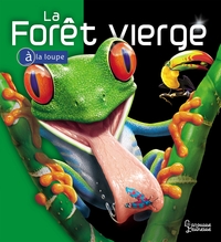 Image de La forêt vierge