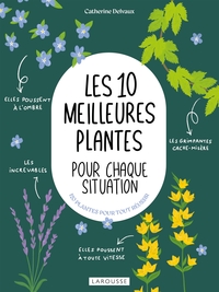 Picture of Les 10 meilleures plantes pour chaque situation