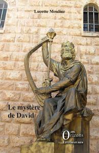 Image de Le mystère de David