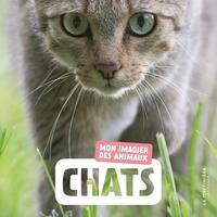 Picture of Chats