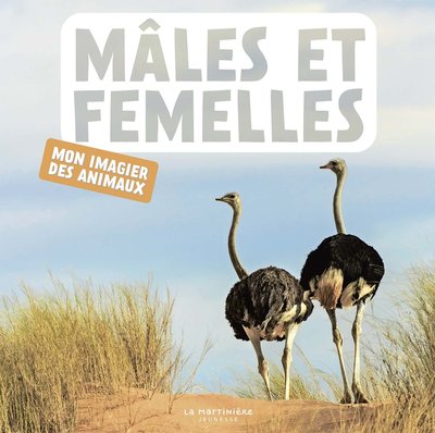 Image de Mâles et femelles